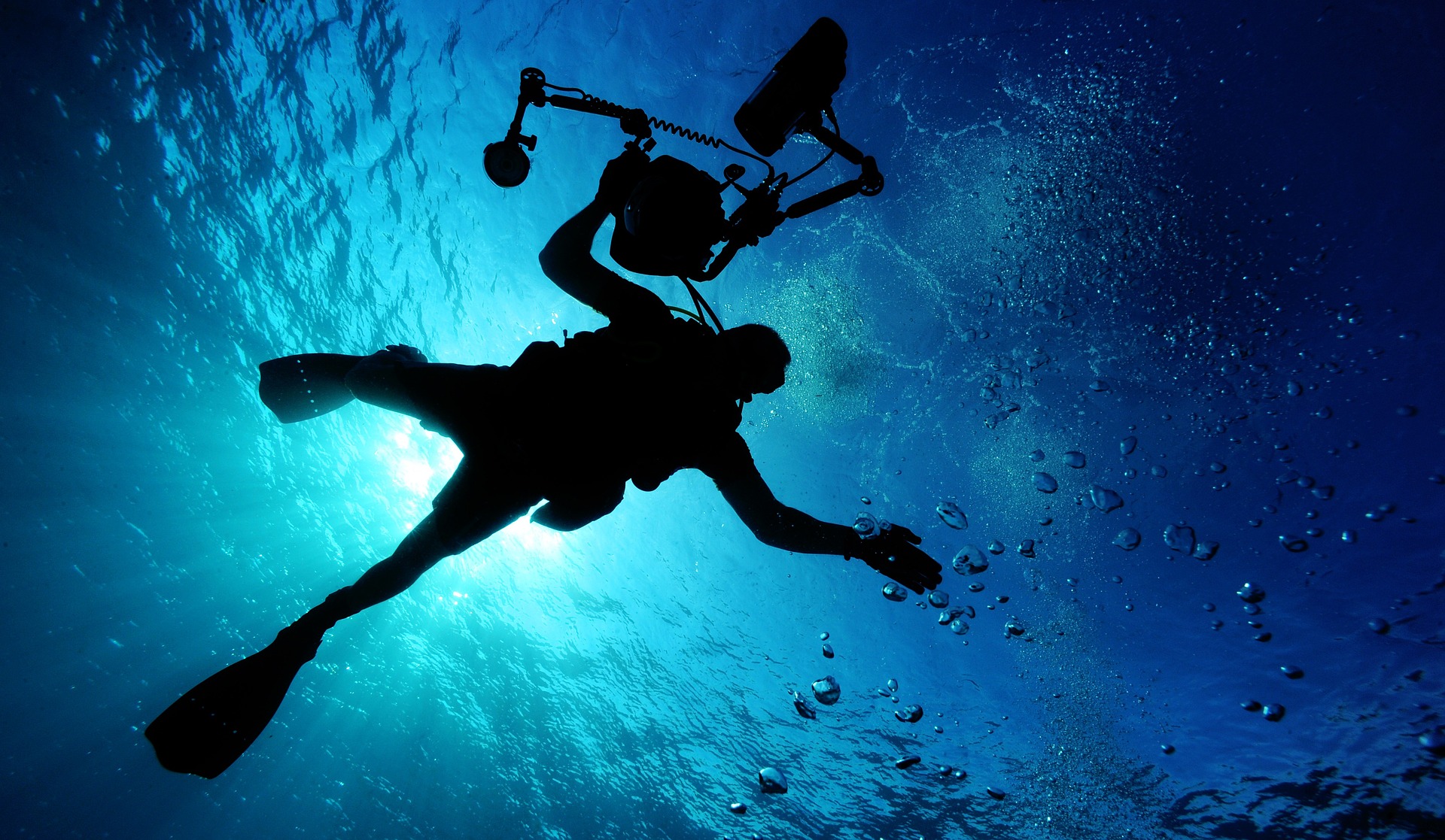 Digital Underwater Photographer