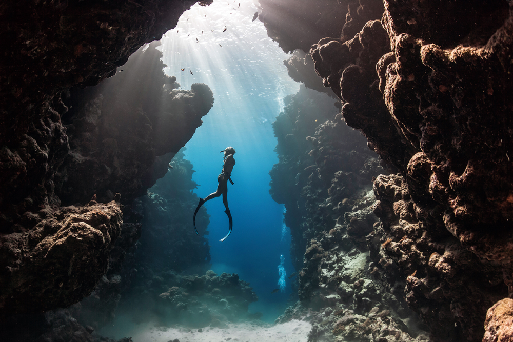 Basic Freediver